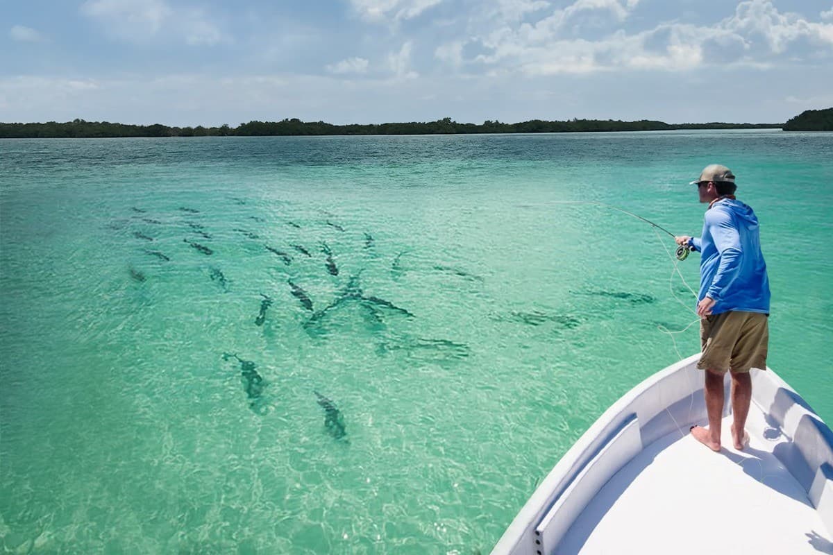 Flats Fishing