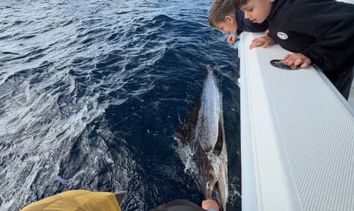 Full-Range 3/4 Day Trip