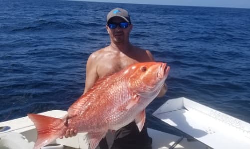 6-Hour Offshore Bottom Fishing Trip