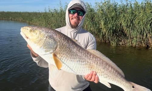4-Hour Morning Inshore Trip