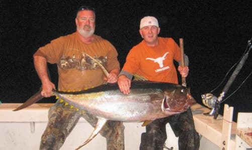 8-Hour Offshore Summer Trip