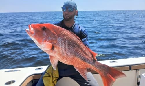6 Hour Offshore Reef & Wreck Trip