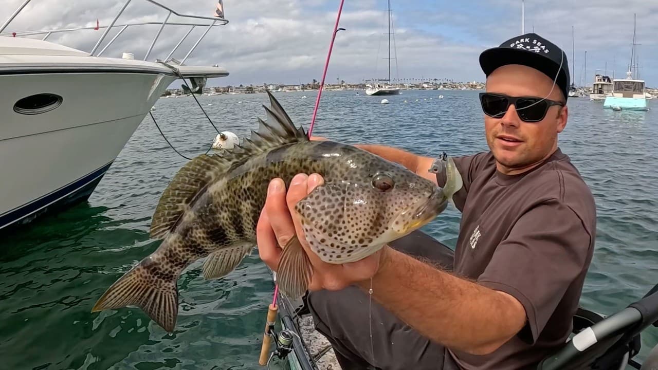 Bay Fishing